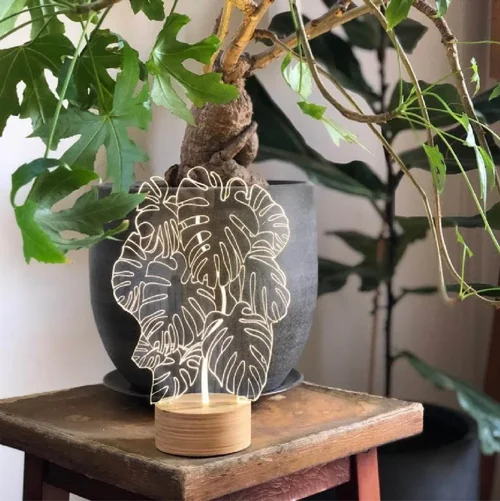 MONSTERA ����� ����� ������� 