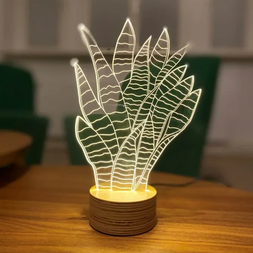 SNAKE PLANT ����� ����� ���������