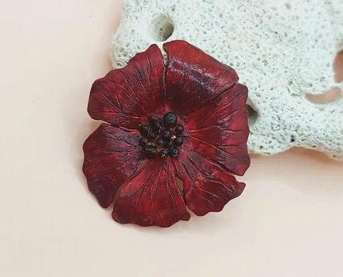 ���� ����� �����