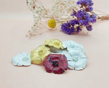 ���� ����� �����