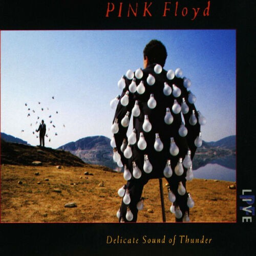 ���� 1000 ����� - DELICATE SOUND OF THUNDER