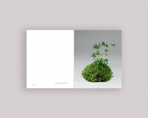 ����� ������ ����� �������: My Life in Flowers