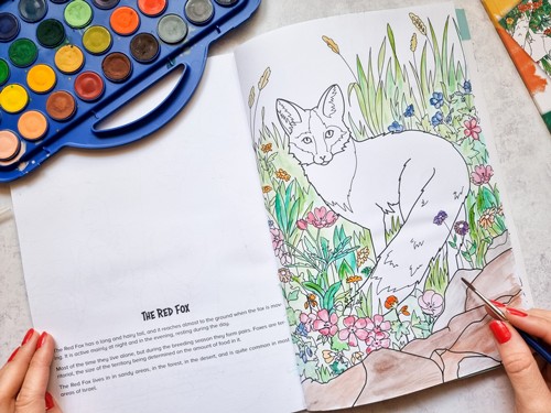  ��� ����� -  THE ANIMALS OF ISRAEL
