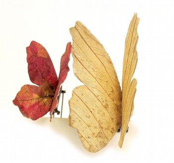 ���� ����