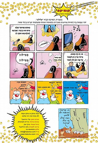 �������� - ���� ����� - ��� ������ �������